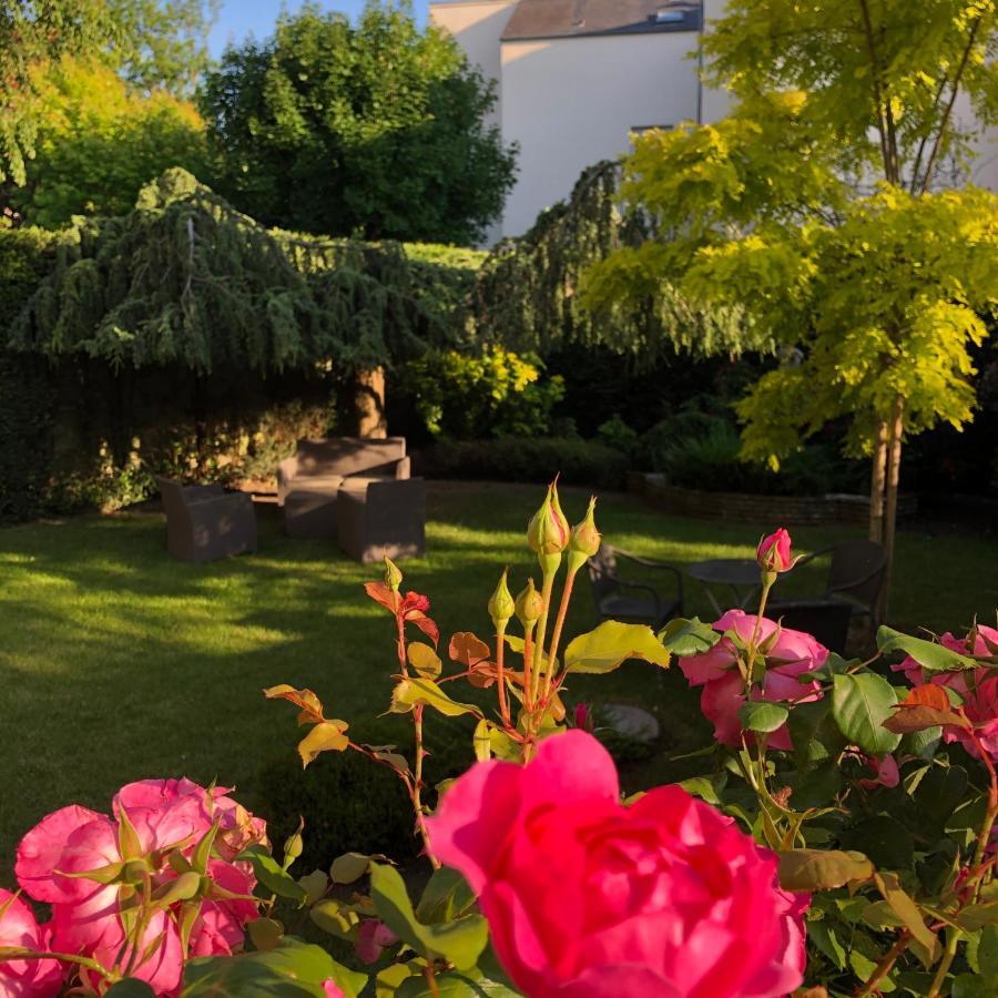 Hotel Des Cedres Орлеан Екстериор снимка